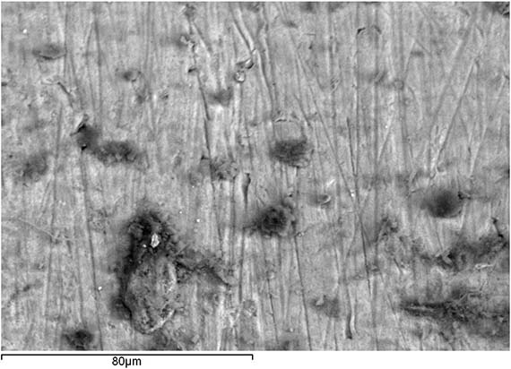 Back-scattered electron image showing thin parallel marks on tubing