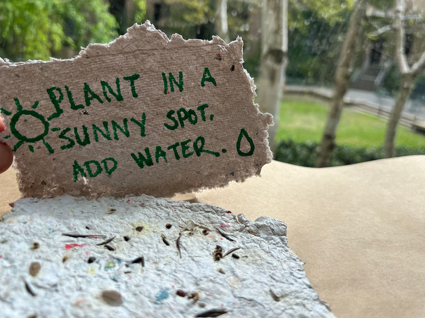 completed slab of handmade paper with hand-drawn sign, "Plant in a sunny spot. Add water."