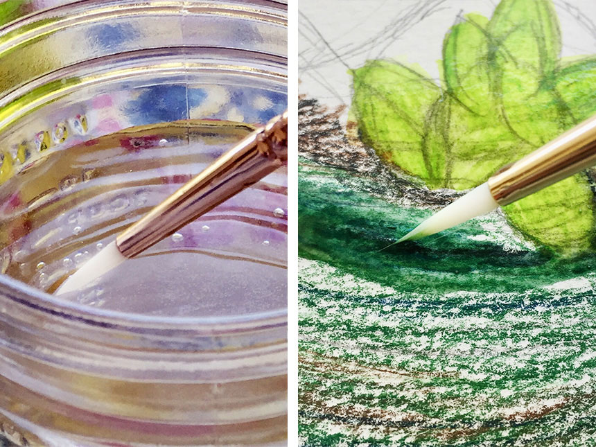 dipping brush into jar of water and using wet brush on watercolor pencil shadings