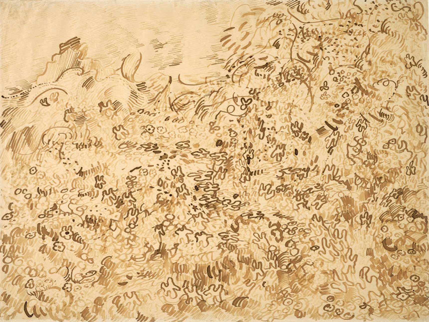 Vincent van Gogh's drawing, Wild Vegetation