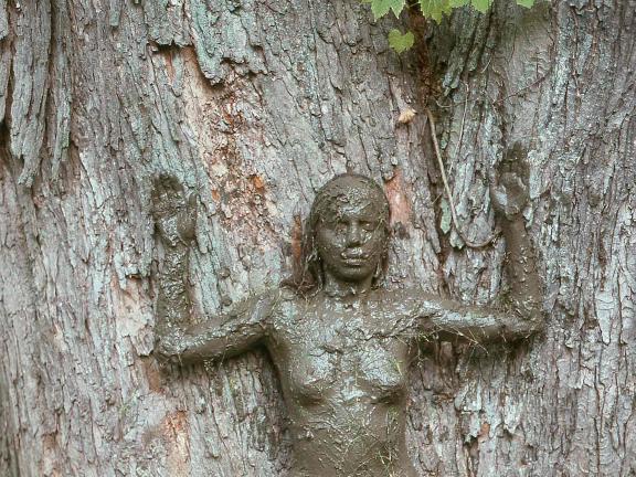 Ana Mendieta, Tree of Life, 1976