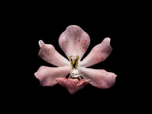 G. Paulding Farnham for Tiffany & Co., orchid brooch, 1890