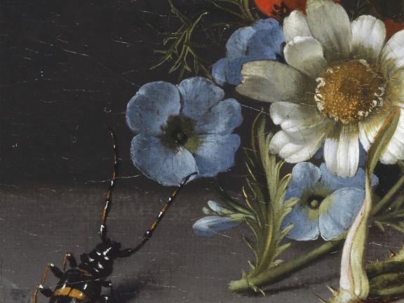 Rachel Ruysch, Posy of Flowers with a Beetle on a Stone Ledge (detail), 1741.