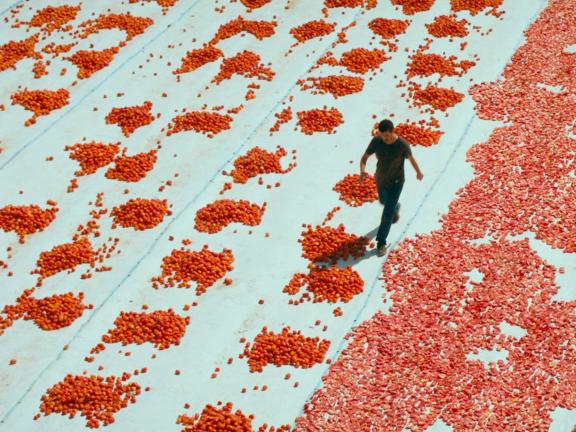 Still from One of Those Days When Hemme Dies (2024), by Murat Fıratoğlu.