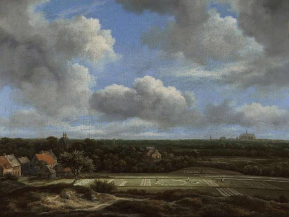View of the Plain of Haarlem with Bleaching Grounds 