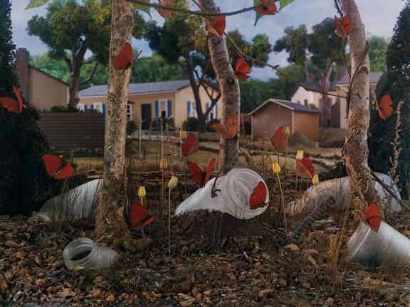 Chromogenic print