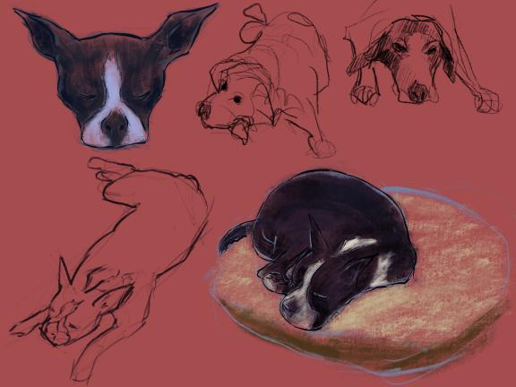 Drawing of black dogs