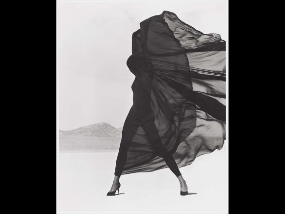 Herb Ritts (Stern Fotografie) (洋書) Amazon.com: Herb Ritts (Stern Fotografie): 9783570198483