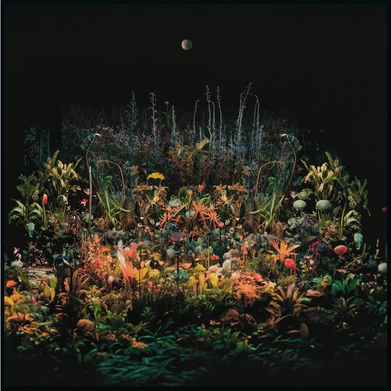 Archival pigment print of Magnetic Field