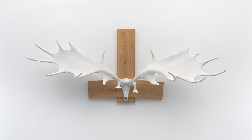 A buck skull and antlers mounted to an upside down wooden cross on a white wall.