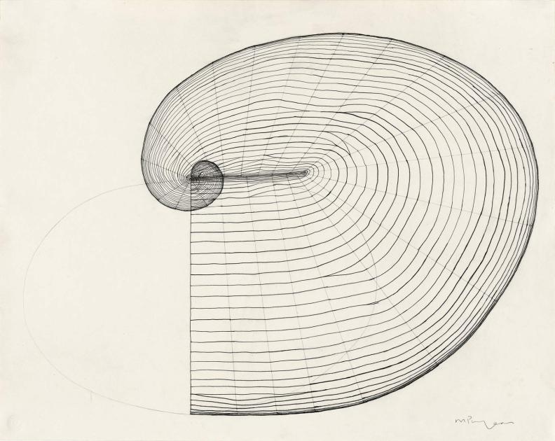 A black line that curves to a point, overlayed with webbing to create an illusion of three dimensionality.