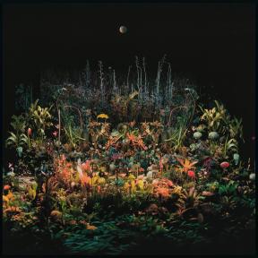 Archival pigment print of Magnetic Field