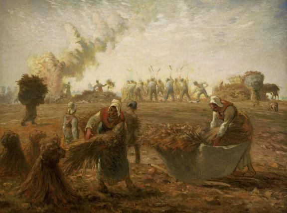 Farmers harvesting buckwheat.