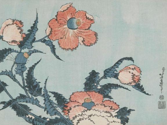 Pink poppies with blue stems emerge on a light blue background with type in Japanese on the right side of the image