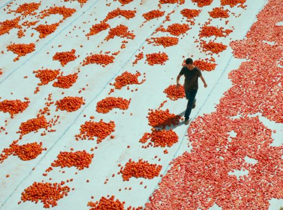 Still from One of Those Days When Hemme Dies (2024), by Murat Fıratoğlu.