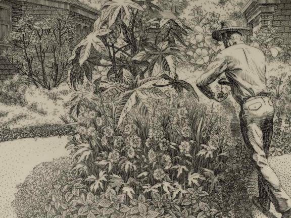  The autobiography of a garden on engraved plate