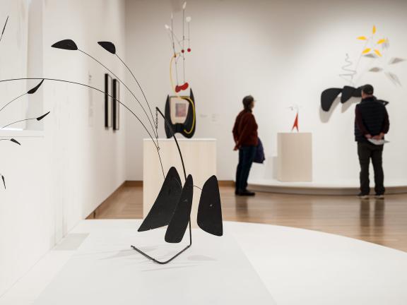 Photography of Modern Gallery 