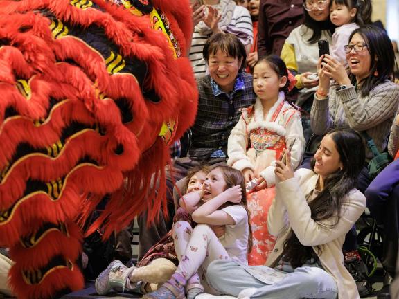 Lunar New Year 2026