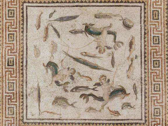 Roman mosaic depicting marine life