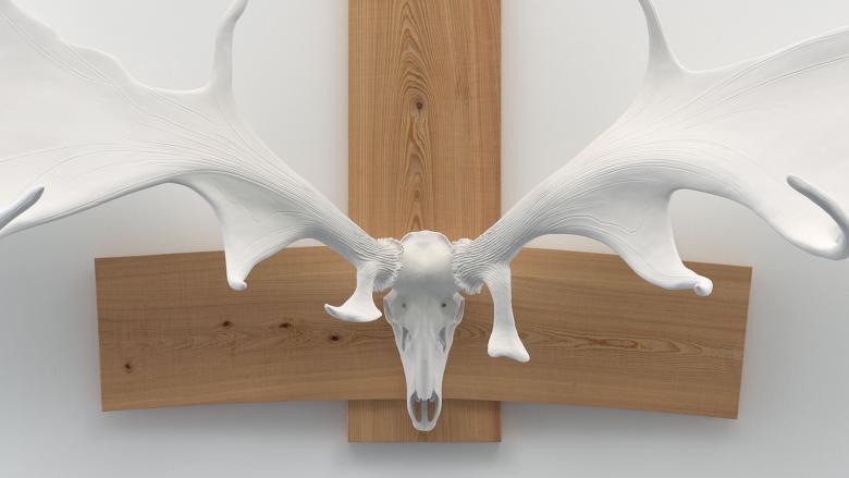 A buck skull and antlers mounted to an upside down wooden cross on a white wall.