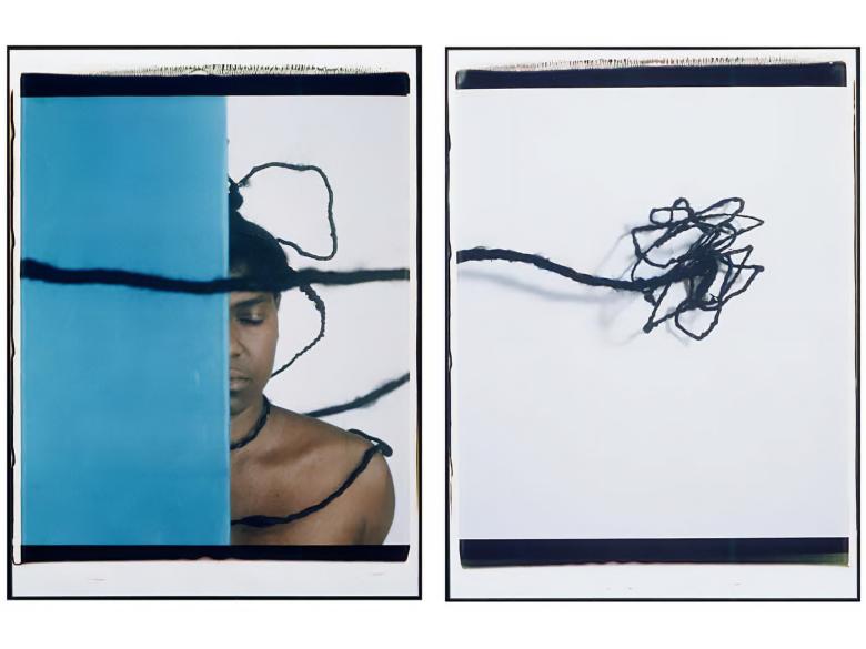 María Magdalena Campos-Pons, Nesting IV, 2000